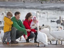 37. Slimbridge Wetland Centre